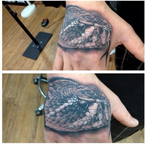 Realistic full colored snakes head on hand