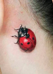 Realistic lady bug behind ear