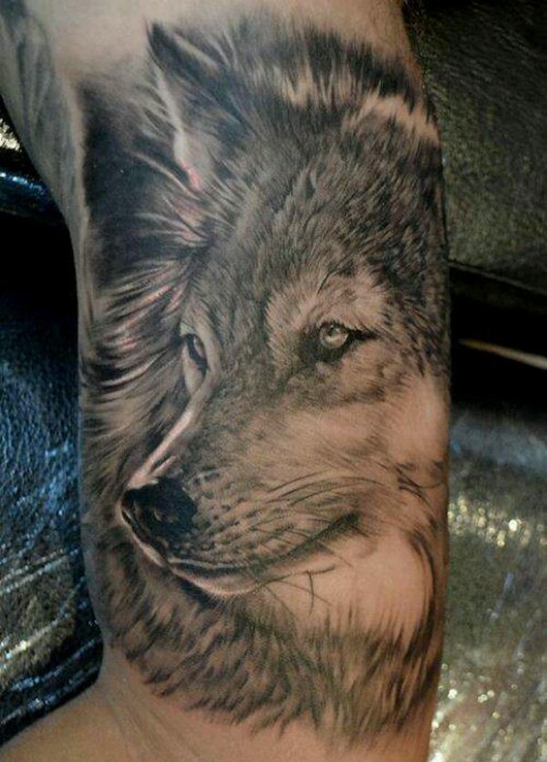 Realistic wolf head on arm in gray