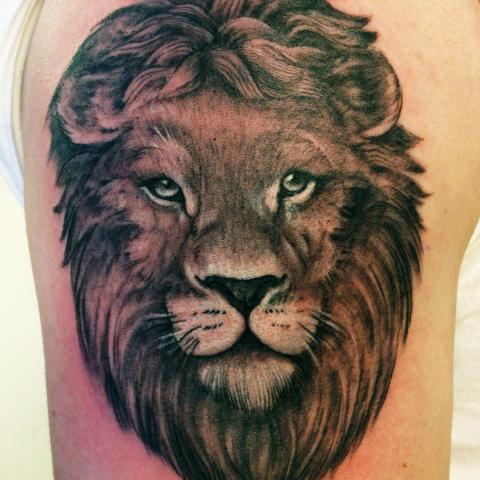 Stedy lions head in gray on shoulder