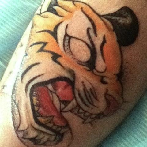 Tigers head drawn in color