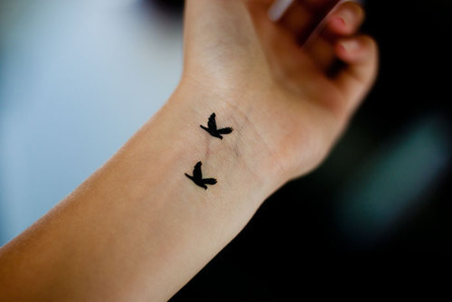 Two black birds on wrist