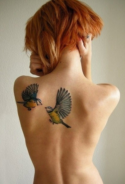 Two colored birds fights on womens back