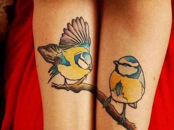 Two colored birds on branch