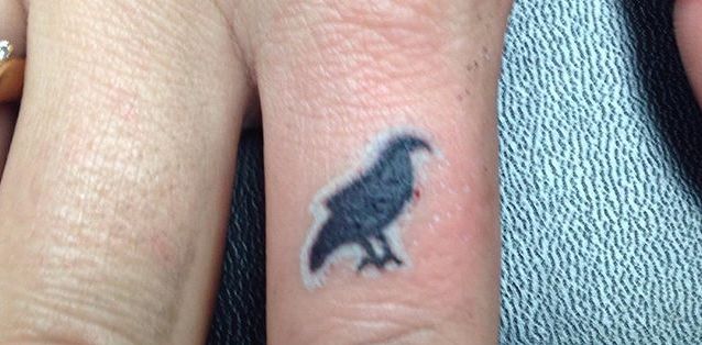 Two colour falcon on finger