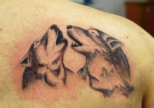 Two wolves bark in gray on back