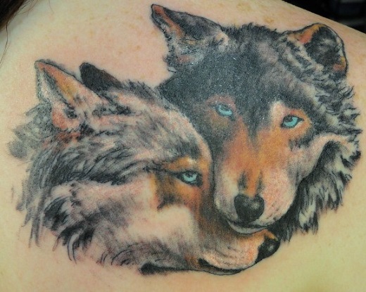 Wolves couple representing love affection